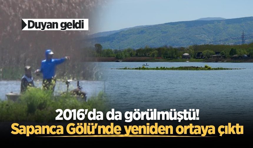 Sapanca Gölü çekildi: Gizemli ada yeniden ortaya çıktı