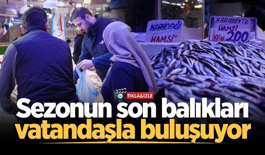 Sakarya'da sezonun son balıkları vatandaşla buluşuyor