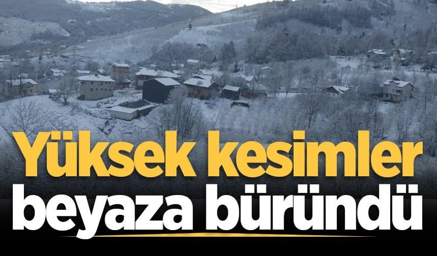 Sakarya'nın yüksek kesimleri beyaza büründü