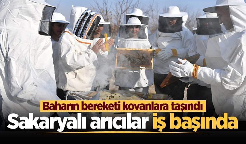 Baharın bereketi kovanlara taşındı: Sakaryalı arıcılar iş başında