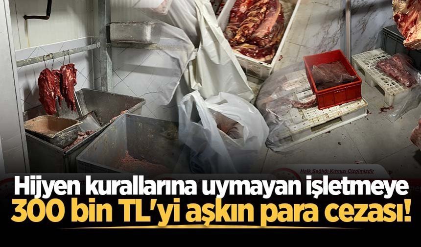 Hijyen kurallarına uymayan işletmeye 300 bin TL'yi aşkın para cezası!