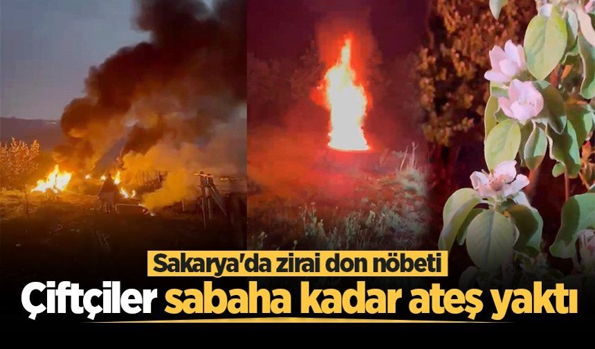 Sakarya'da zirai don nöbeti: Çiftçiler sabaha kadar ateş yaktı