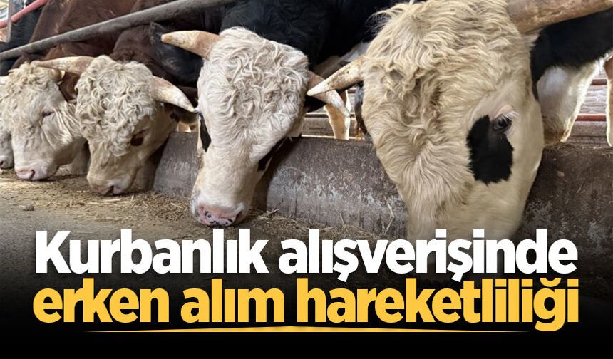 Kurbanlık alışverişinde erken alım hareketliliği