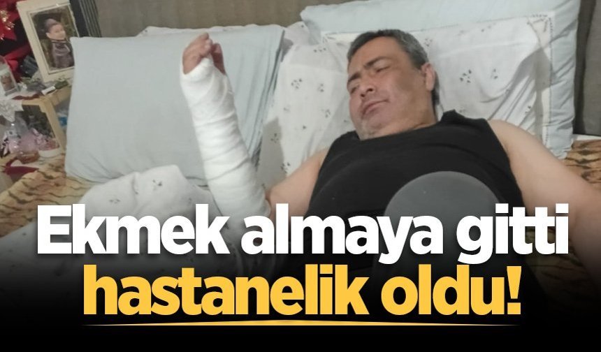 Ekmek almaya gitti, hastanelik oldu!