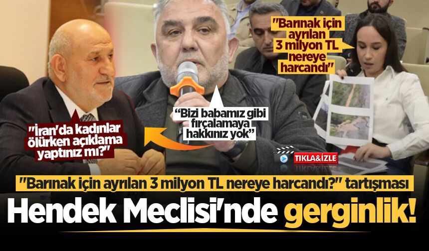 Hendek Meclisi'nde gerginlik! "Barınak için ayrılan 3 milyon TL nereye harcandı?" tartışması