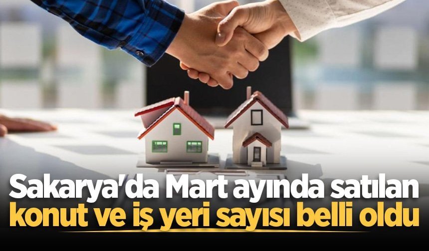 Sakarya'da Mart ayında satılan konut ve iş yeri sayısı belli oldu
