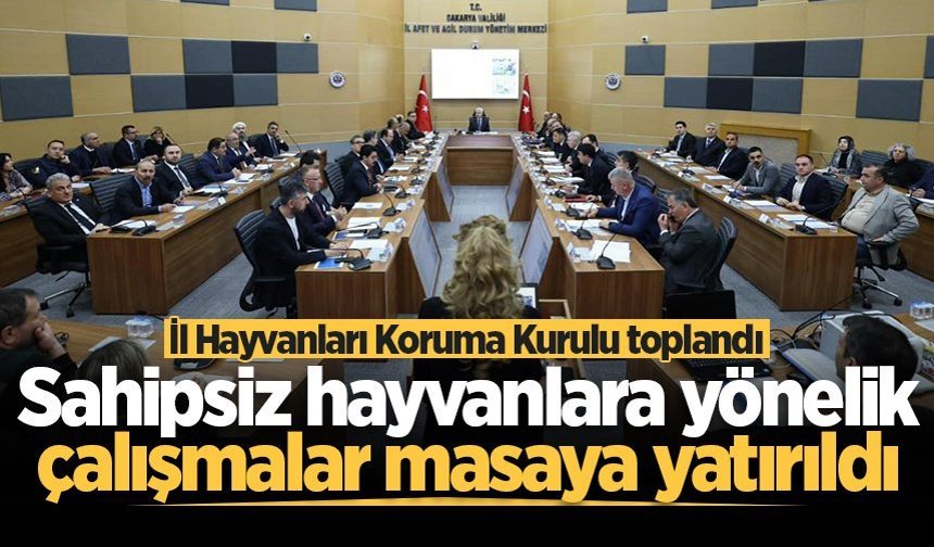 Sakarya'da sahipsiz hayvanlara yönelik çalışmalar masaya yatırıldı