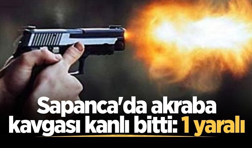 Sapanca'da akraba kavgası kanlı bitti: 1 yaralı