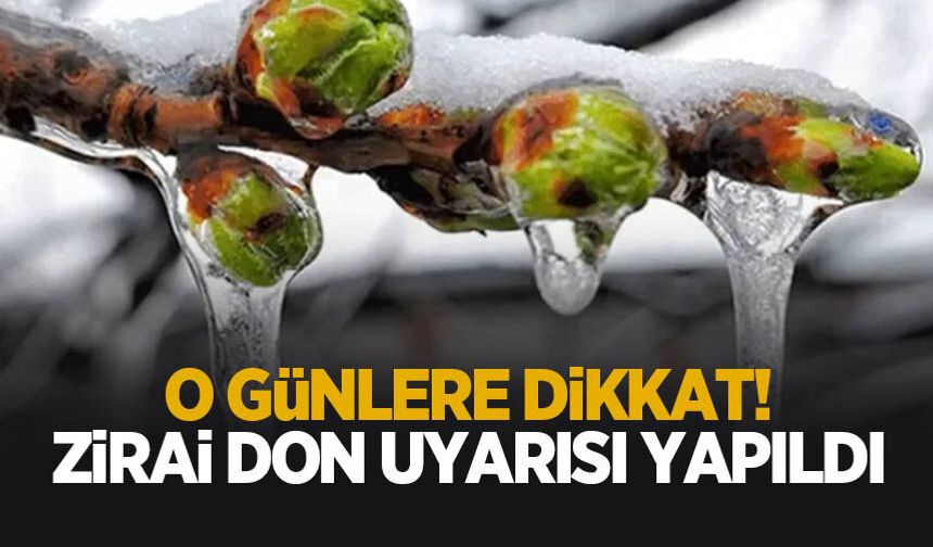 Zirai don uyarısı