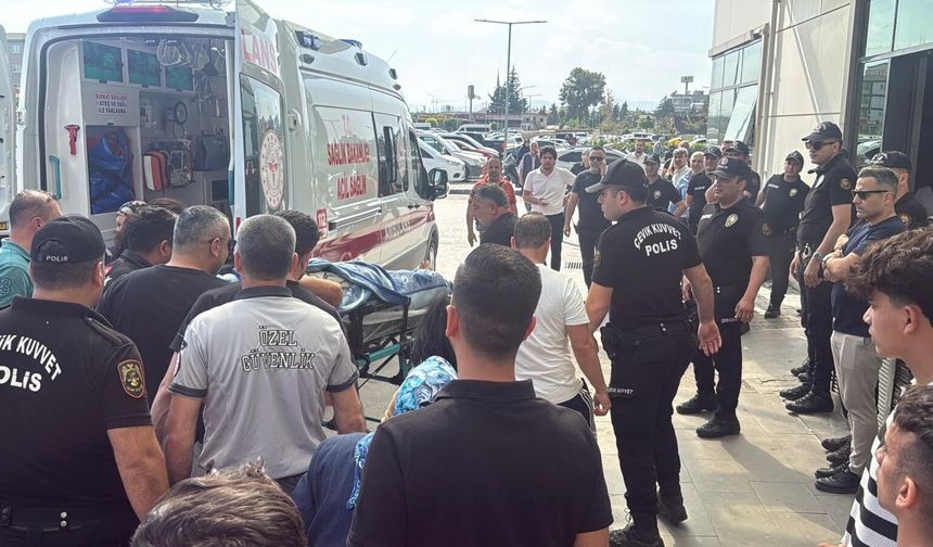 Vahşette ölü sayısı 6'ya yükseldi