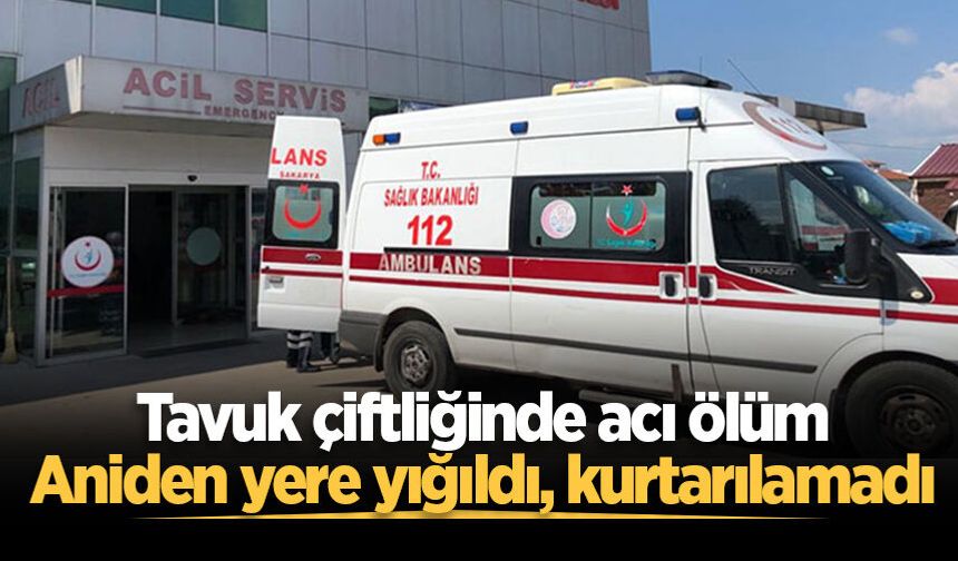 Tavuk çiftliğinde acı ölüm: Aniden yere yığıldı, kurtarılamadı