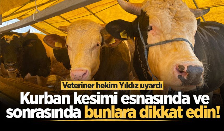 Veteriner hekim Yıldız uyardı: Kurban kesimi esnasında ve sonrasında bunlara dikkat edin!