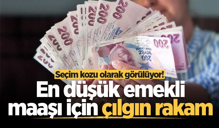 Seçim kozu olarak görülüyor! En düşük emekli maaşı için çılgın rakam