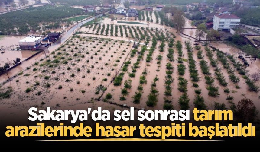 Sakarya'da sel sonrası tarım arazilerinde hasar tespiti başlatıldı