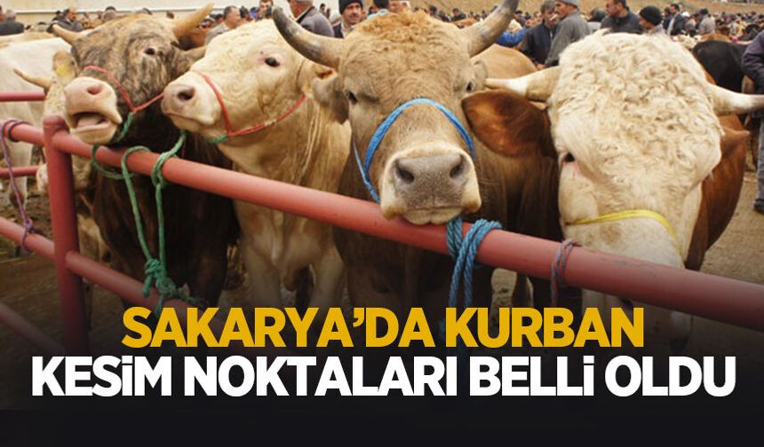 Sakarya'da kurban kesim noktaları belli oldu
