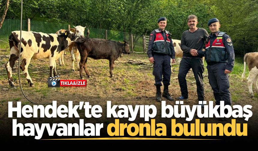 Hendek'te kayıp büyükbaş hayvanlar dronla bulundu