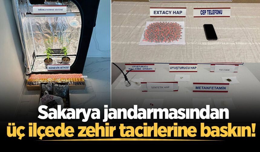 Sakarya jandarmasından üç ilçede zehir tacirlerine baskın! Evde skunk serası kurmuşlar: 2 tutuklama
