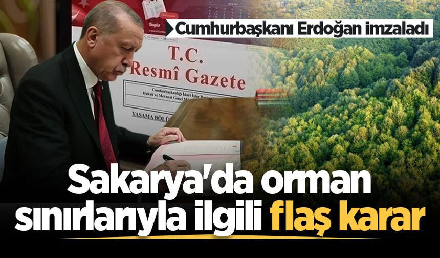 Resmi Gazete'de yayımlandı: Sakarya'da o alan orman sınırları dışına çıkarıldı