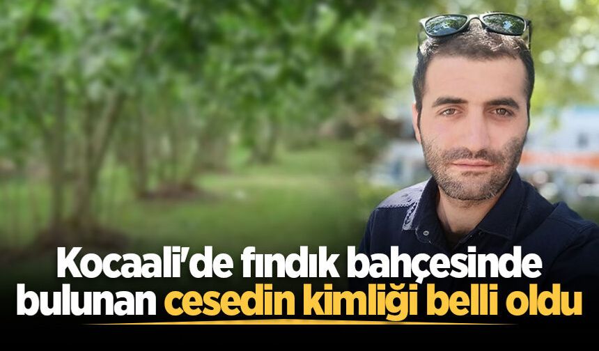 Kocaali'de fındık bahçesinde bulunan cesedin kimliği belli oldu
