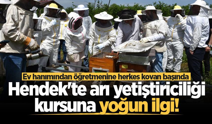Hendek'te arı yetiştiriciliği kursuna yoğun ilgi! Ev hanımından öğretmenine herkes kovan başında