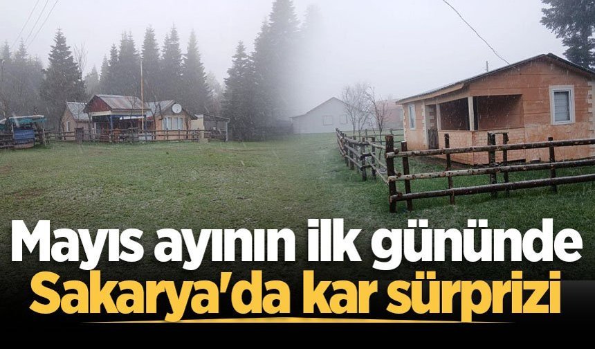 Mayıs ayının ilk gününde Sakarya'da kar sürprizi