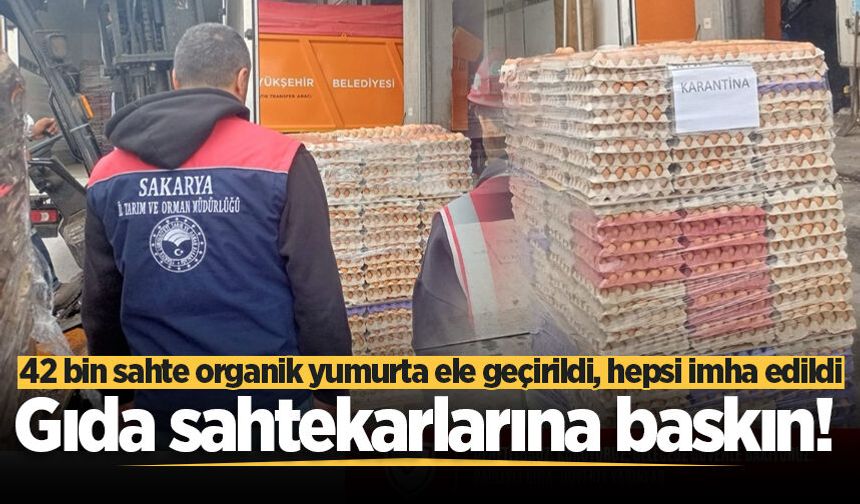 Sakarya’da 42 bin sahte organik yumurta ele geçirildi