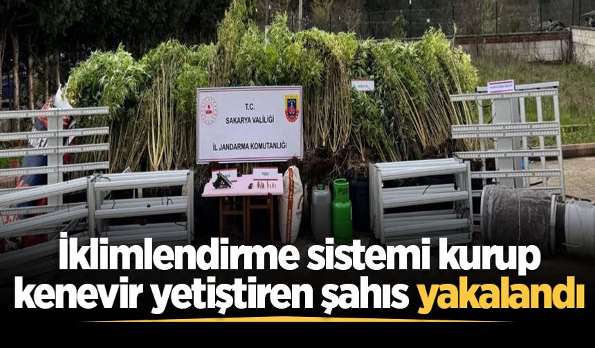 İklimlendirme sistemi kurup kenevir yetiştiren şahıs yakalandı