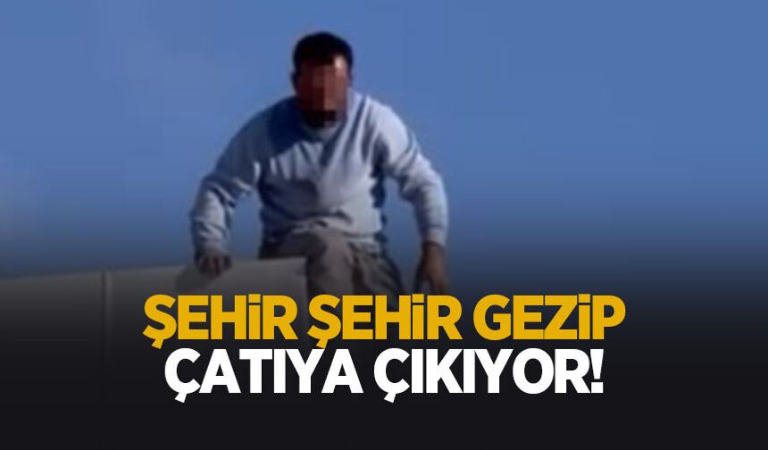 Şehir şehir gezip çatıya çıkıyor