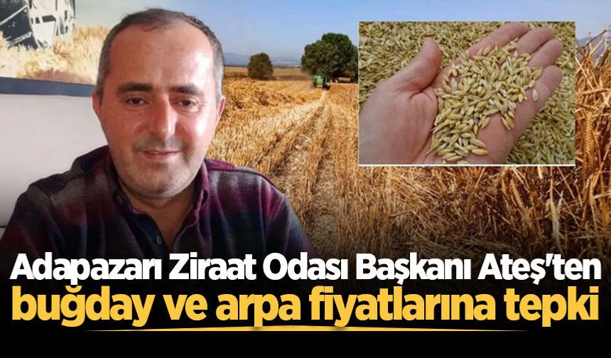 Adapazarı Ziraat Odası Başkanı Ateş'ten buğday ve arpa fiyatlarına tepki