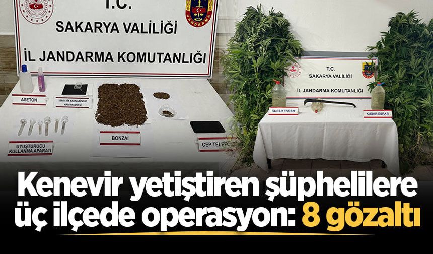 Kenevir yetiştiren şüphelilere üç ilçede operasyon: 8 gözaltı