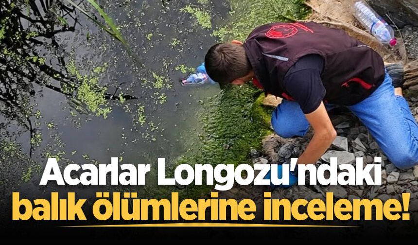 Acarlar Longozu'ndaki balık ölümlerine inceleme!