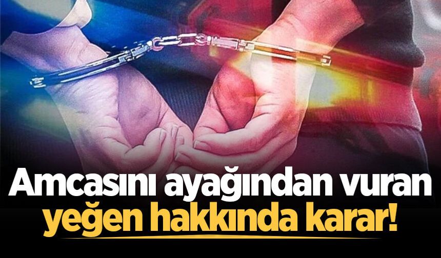 Akyazı'da amcasını ayağından vuran yeğen hakkında karar!