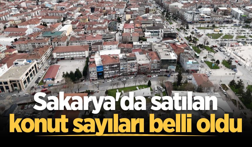 Sakarya'da Mayıs ayının konut satış istatistikleri açıklandı