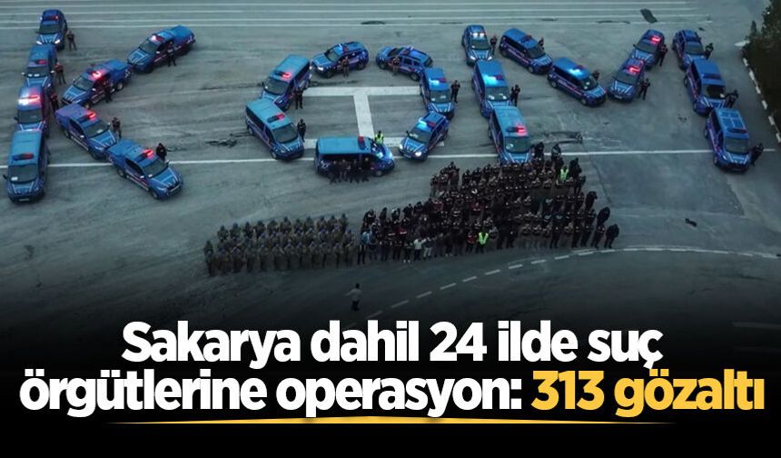 Sakarya dahil 24 ilde suç örgütlerine operasyon: 313 gözaltı