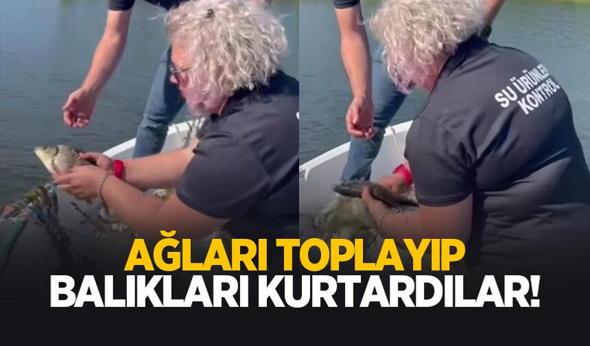 Kaçak ağlar temizlendi, balıklar kurtarıldı!