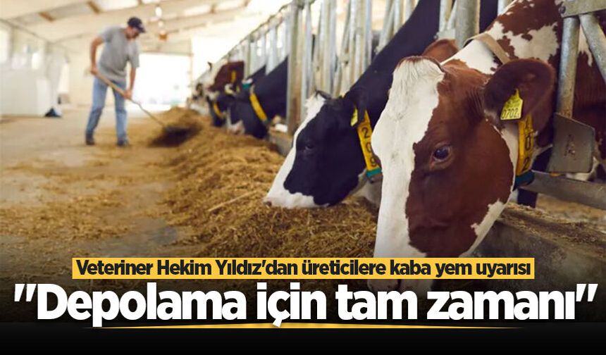 Veteriner Hekim Yıldız'dan üreticilere kaba yem uyarısı: "Depolama için tam zamanı"