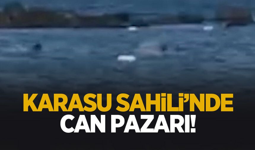 Karasu Sahili'nde can pazarı