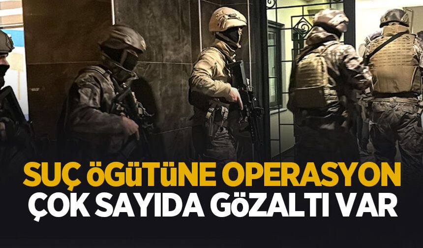 Suç örgütüne operasyon