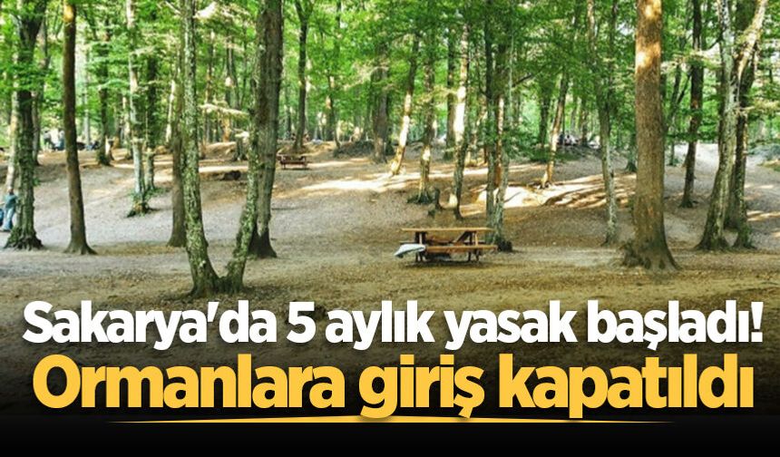Sakarya'da 5 aylık yasak başladı! Ormanlara giriş kapatıldı