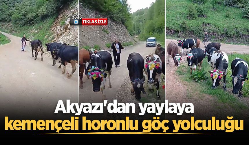 Akyazı'dan yaylaya kemençeli horonlu göç yolculuğu