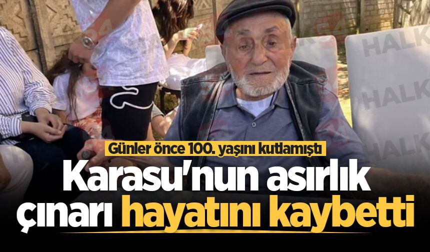 Karasu'nun asırlık çınarı hayatını kaybetti