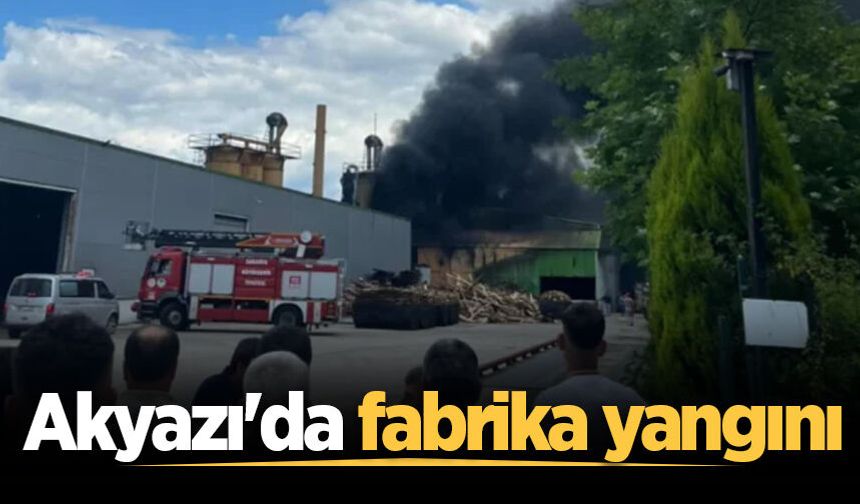 Akyazı'da fabrika yangını