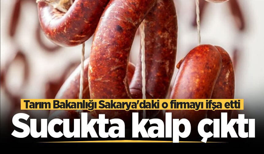 Tarım Bakanlığı Sakarya'daki o firmayı ifşa etti: Sucukta kalp çıktı