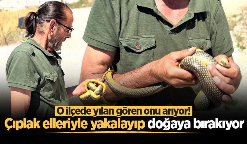 O ilçede yılan gören onu arıyor! Çıplak elleriyle yakalayıp doğaya bırakıyor