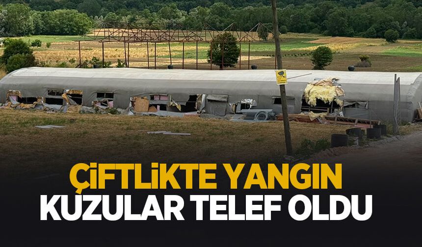 Çiftlikte yangın kuzular telef oldu; Bin balya saman yandı