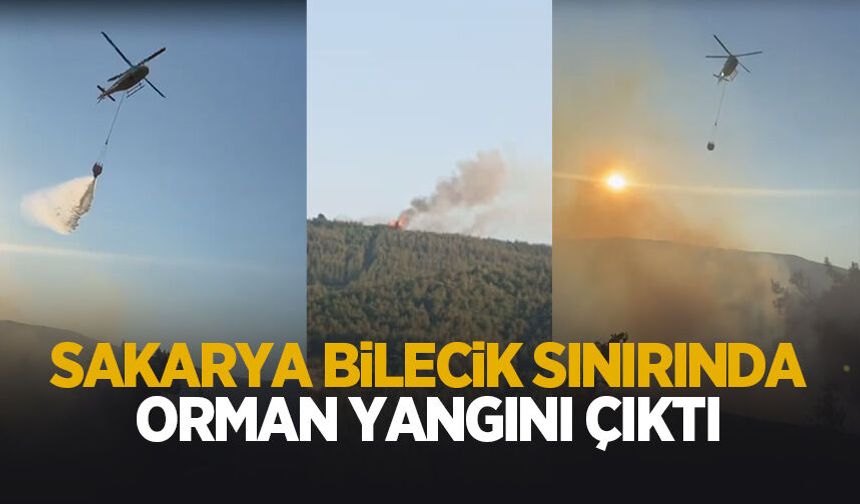 Sakarya- Bilecik sınırında orman yangını