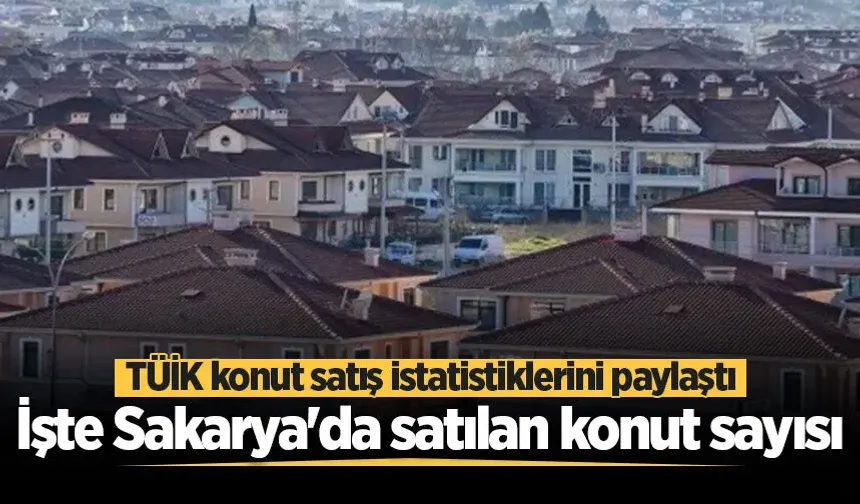 Sakarya'da Haziran ayında satılan konut sayısı belli oldu