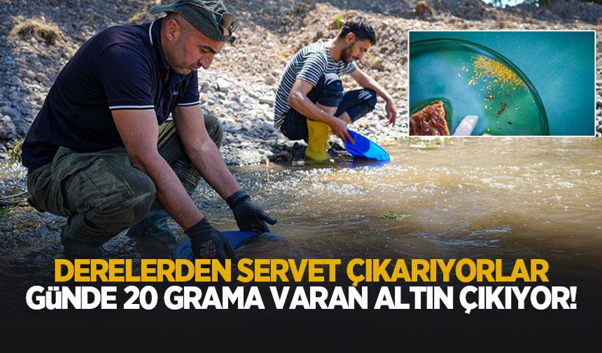Derelerden servet çıkarıyorlar: Günde 20 grama yakın altın buluyorlar