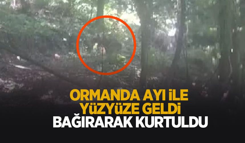 Ormanda ayı ile yüzyüze geldi; Bağırıp kurtuldu