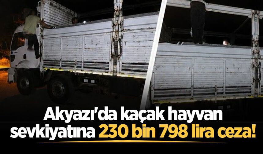 Akyazı'da kaçak hayvan sevkiyatına 230 bin 798 lira ceza!